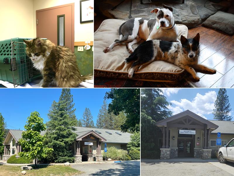 Trinity Animal Hospital