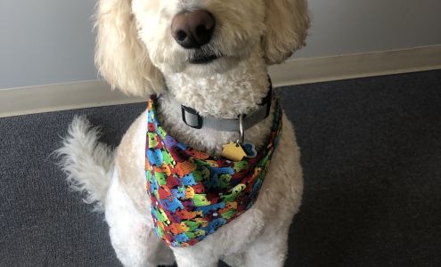 Lake Brandt Veterinary Hospital