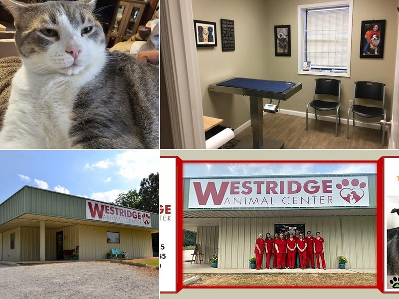 Westridge Animal Center
