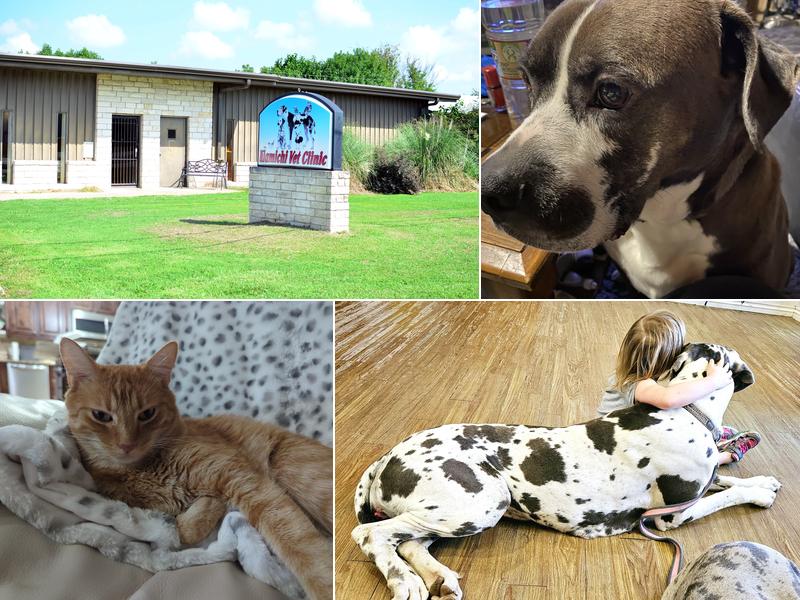 Kiamichi Veterinary Clinic