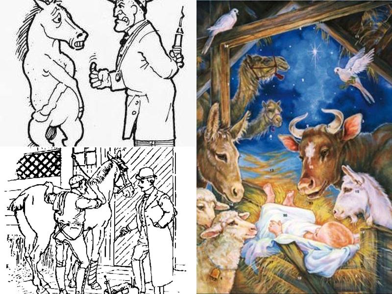 Twin Rivers Veterinary Services