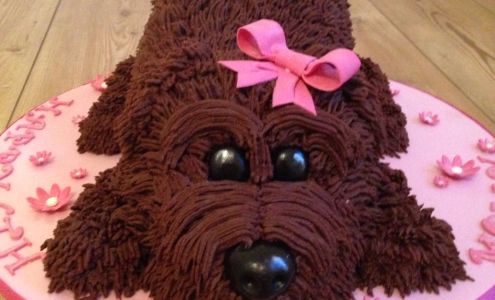 Veterinary Medical Center PC Muskegon