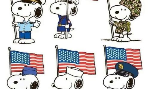 Range Animal Hospital Ontonagon