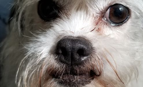 Loving Touch Animal Hospital