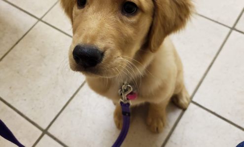 Southampton Veterinary Clinic