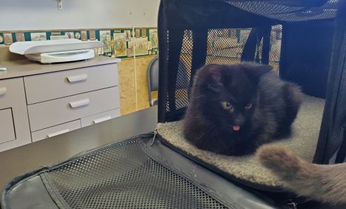 Weber Road Veterinary Clinic Farmington