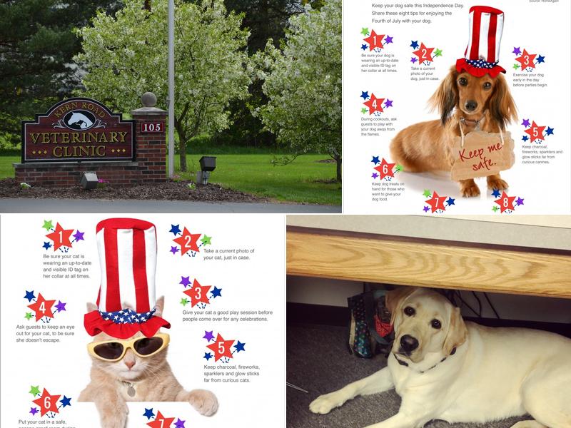 Esterline Peter L DVM