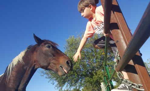 Animal Health Center