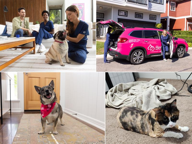 BetterVet Eugene, Mobile Vet Care