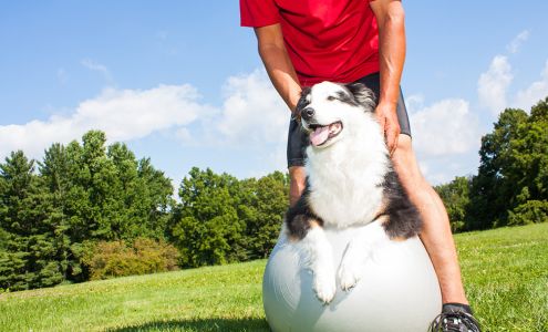 Priority Pet Care of the Ozarks West Plains