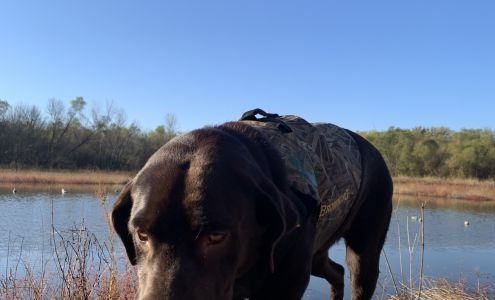 Montgomery Veterinary Clinic Brookfield