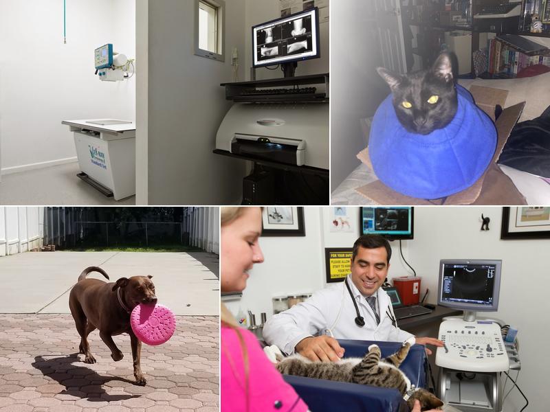 Englewood Veterinary Center