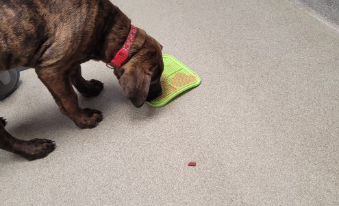 Kind Veterinary Service 109 County Road 5, St Peter Minnesota 56082