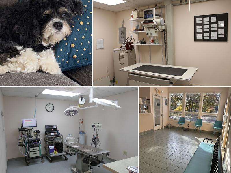 Franklin Turnpike Veterinary Hospital