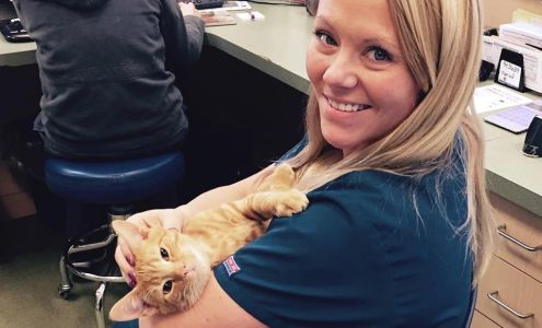 Arch Animal Hospital