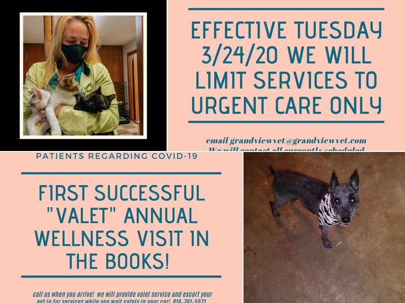 Grandview Animal Hospital: Twigg Brad DVM