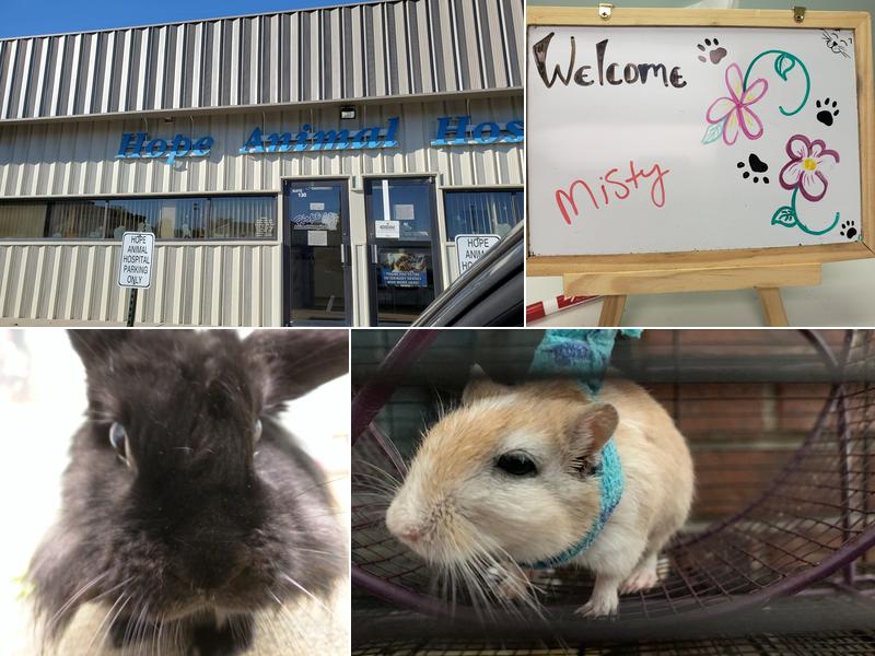 Hope Animal Hospital