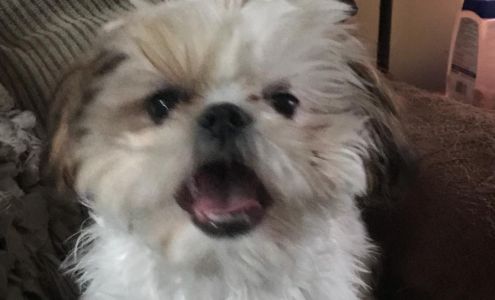 Murphy Animal Hospital