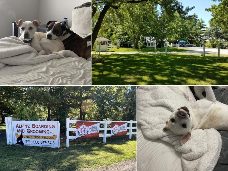 Alpine Boarding And Grooming