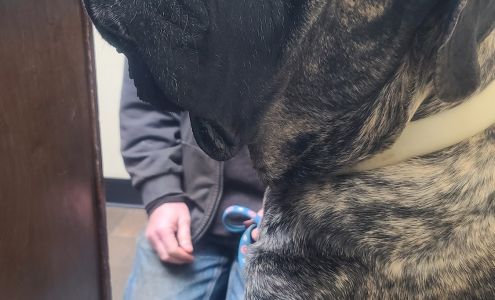 Animal Clinic of Perryton 20 SW 24th Ave, Perryton Texas 79070