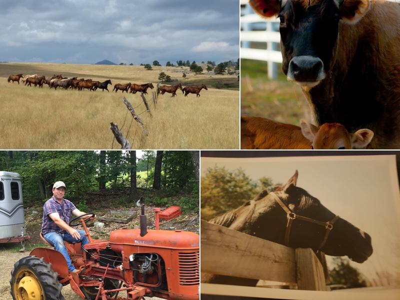 Cross Border Equine Center Inc