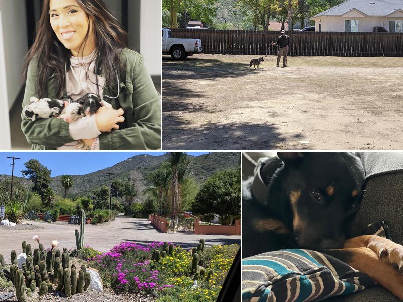 Singing Hills Animal Hospital