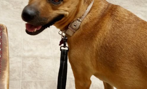 Kenline Veterinary Clinic Cañon City