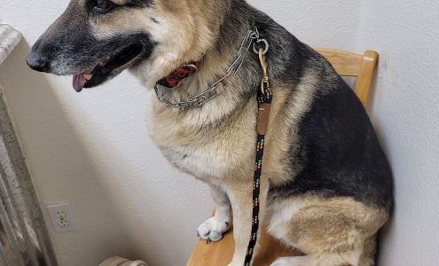 Southern Kern Veterinary Clinic, Inc 4455 Rosamond Blvd, Rosamond California 93560