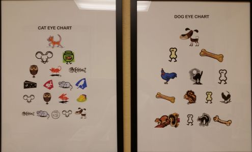 Animal Vision Center