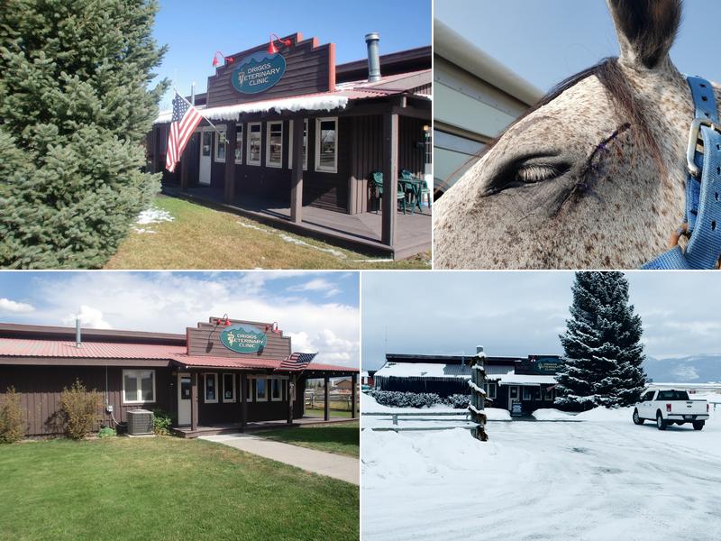 Driggs Veterinary Clinic