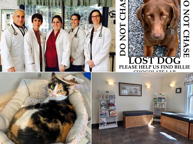 All Creatures Veterinary Hospital