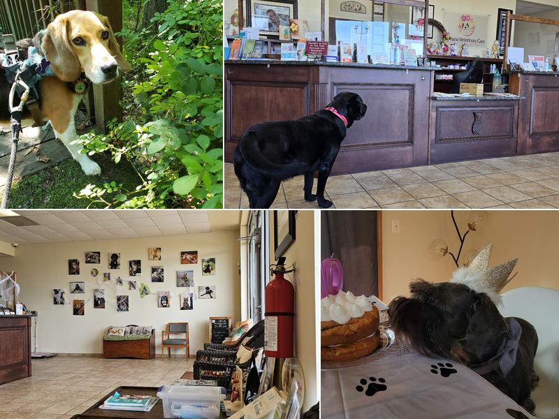 Ohana Veterinary Care