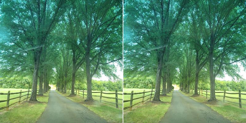 Farthing Victoria Dvm