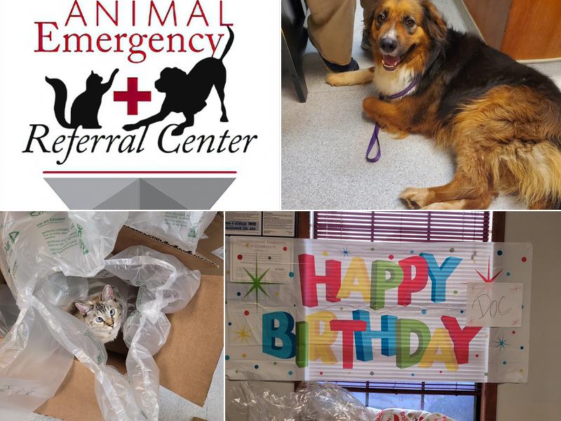 Thompson Melissa DVM