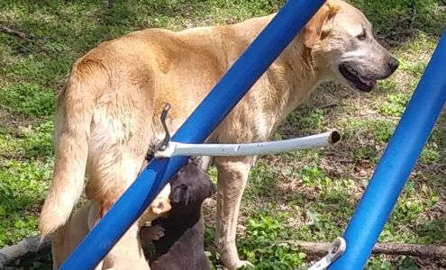 Animal Medical Clinic Cleveland