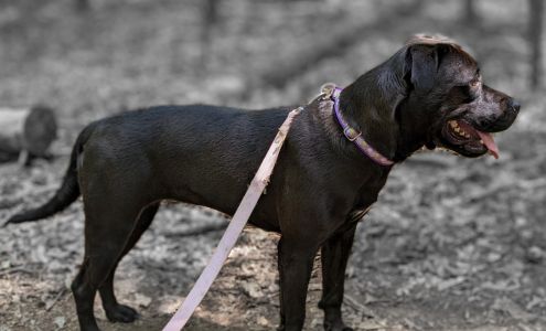 Franklin County Humane Society