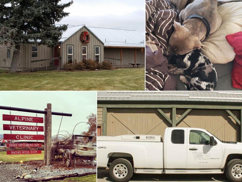 Alpine Veterinary Clinic