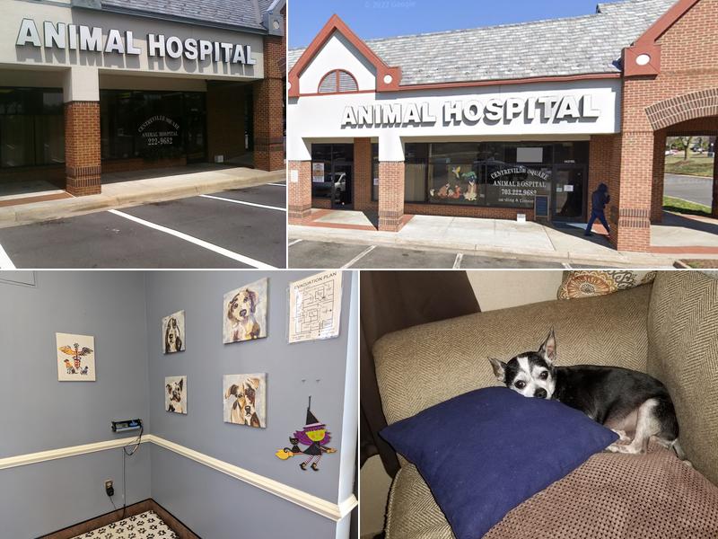 Centreville Square Animal Hospital