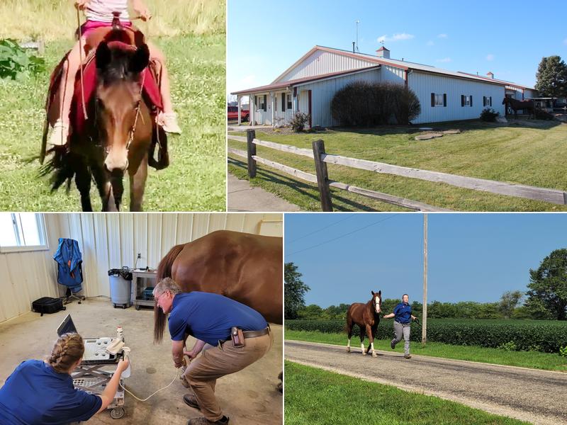 Midwest Equine at Illinois