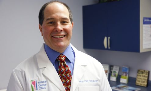 Animal Dental Clinic Vienna