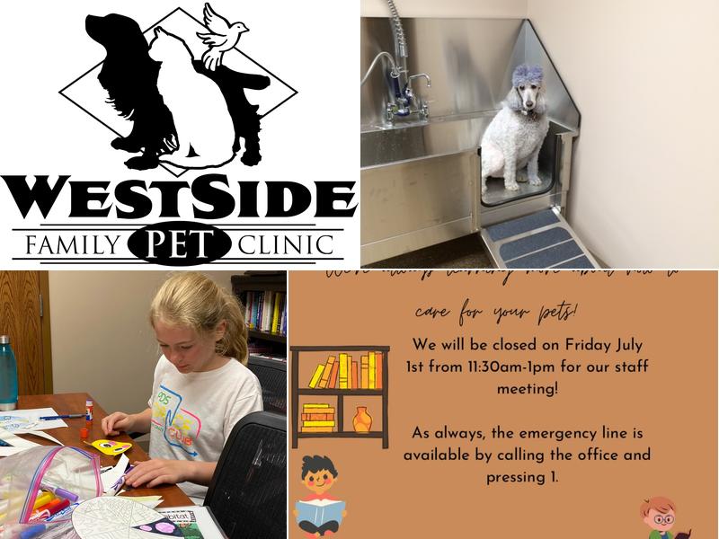 Boarding and Grooming at Westside Family Pet Clinic