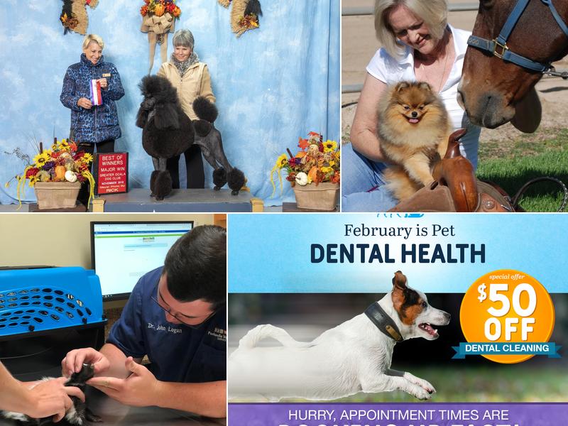 Panhandle Veterinary Services: Owens Sherie DVM