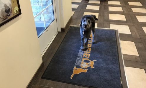 White Sara DVM Midlothian