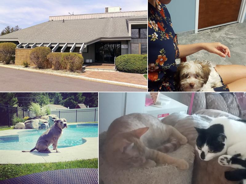 Parker Creek Veterinary Hospital