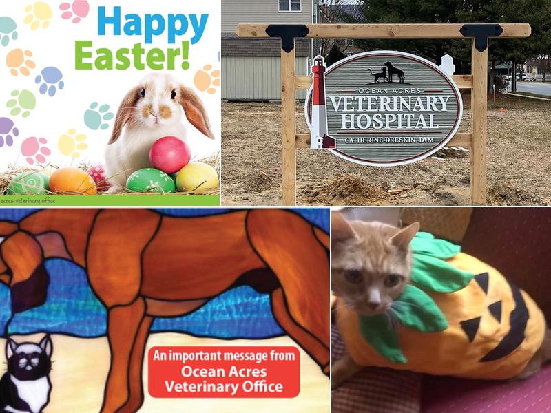 Ocean Acres Veterinary