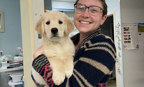 American Animal Hospital