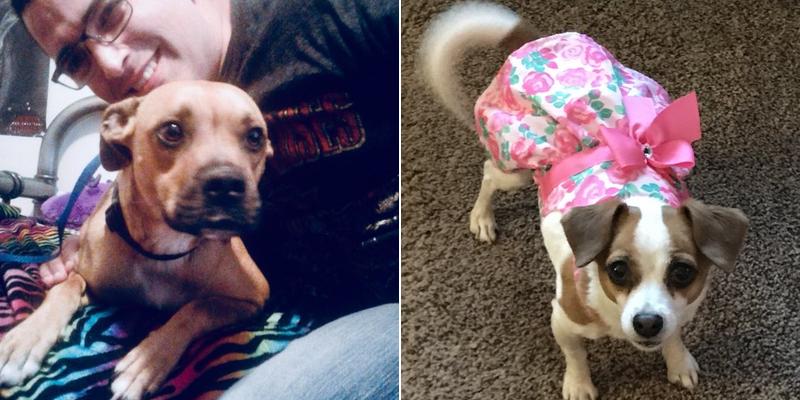 Chisholm Trail Veterinary Hospital