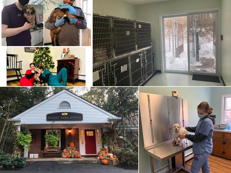 Setauket Animal Hospital