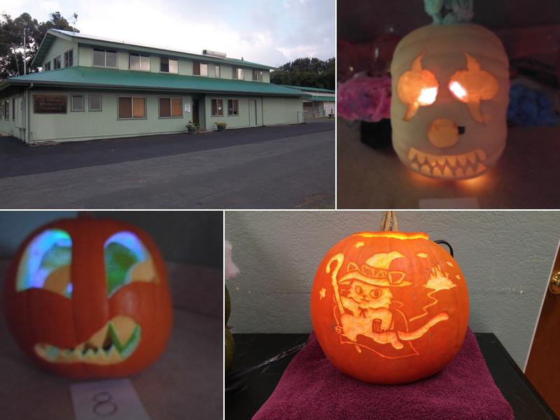 Veterinary Associates Inc