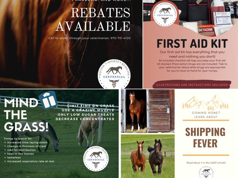 Centennial Equine Sports Medicine